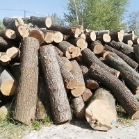 Дърва за огрев - работим и в неделя 