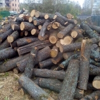 Дърва за огрев София