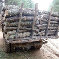 Предлагаме дърва за огрев