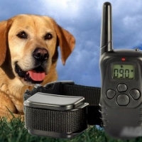 Електронен нашийник за дресура на 2 кучета